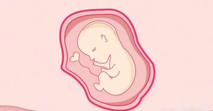 LGBT群体如何拥有自己的宝宝？捐卵\捐精代孕！