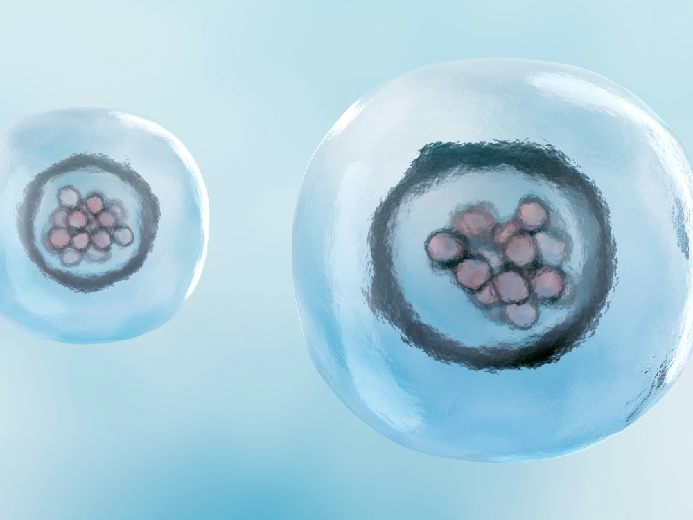 囊胚为什么会有养到第6、第7天的时候，养的时间越久越好吗？