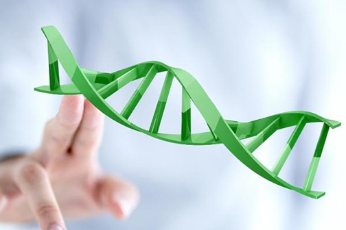 什么是隐形基因遗传，如果有携带一定会遗传给孩子吗？